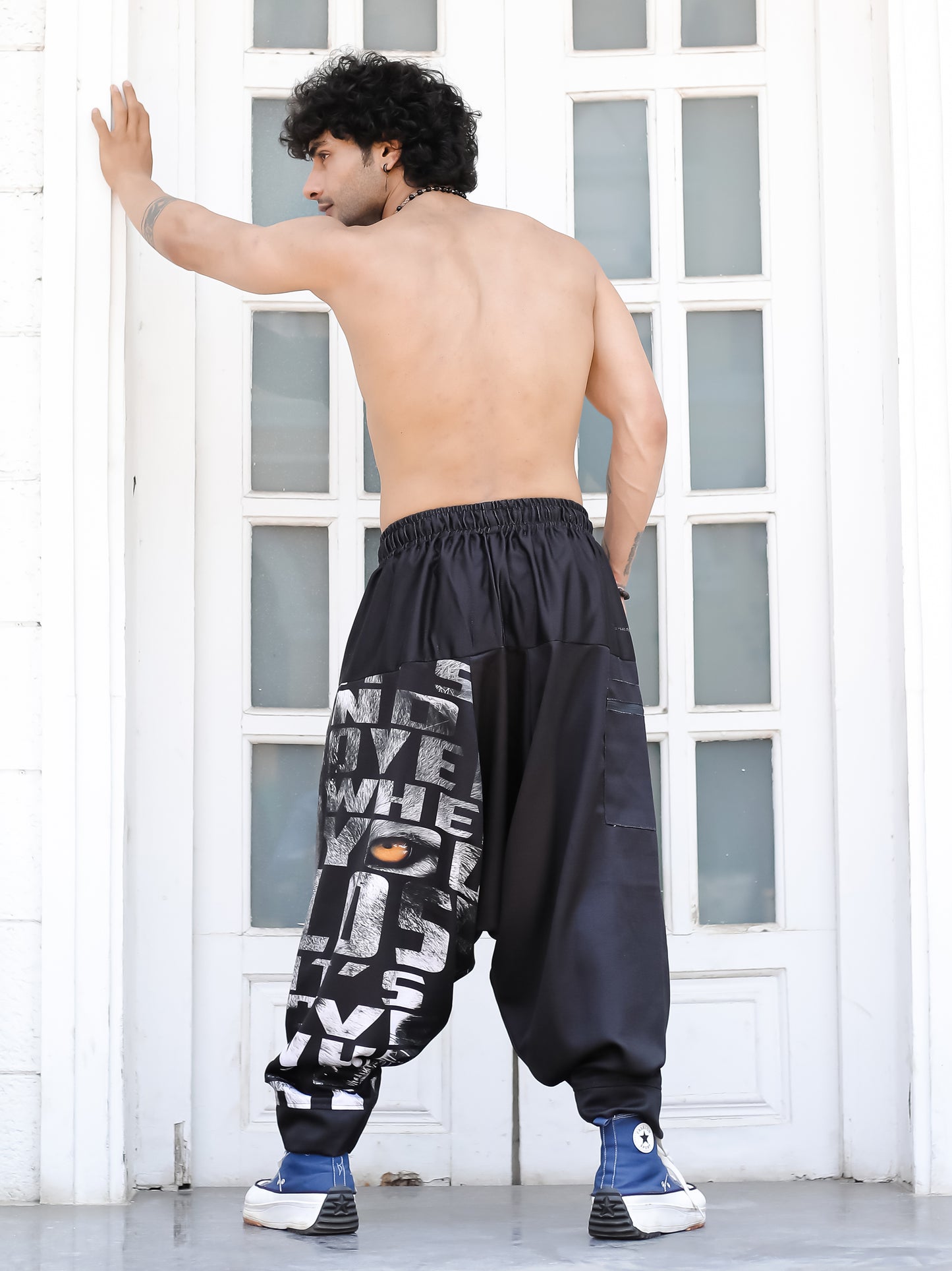 Men's King Lion Print Baggy Aladdin Harem Pants For Travel Dance Yoga