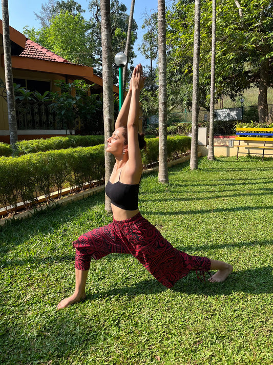 Women's Arabic Vintage Red Boho Baggy Hippy Harem Pants For Dance Travel Yoga Hippypant enimane.myshopify.com