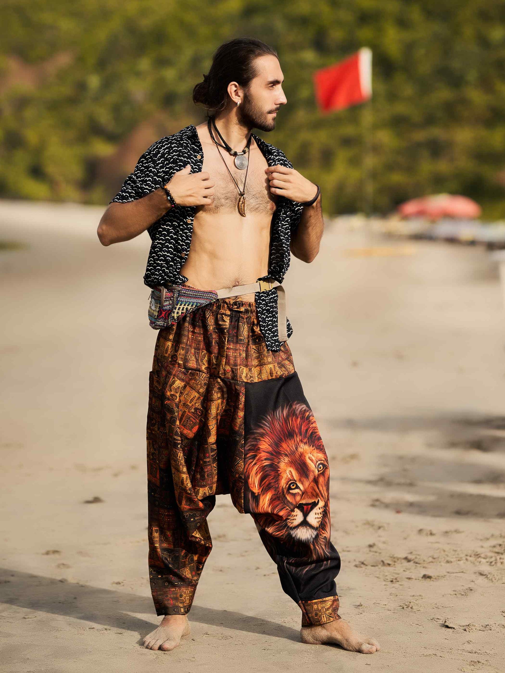 Buy Men's Vintage Lion Print Balloon Aladdin Unisex Harem Pants For Travel
