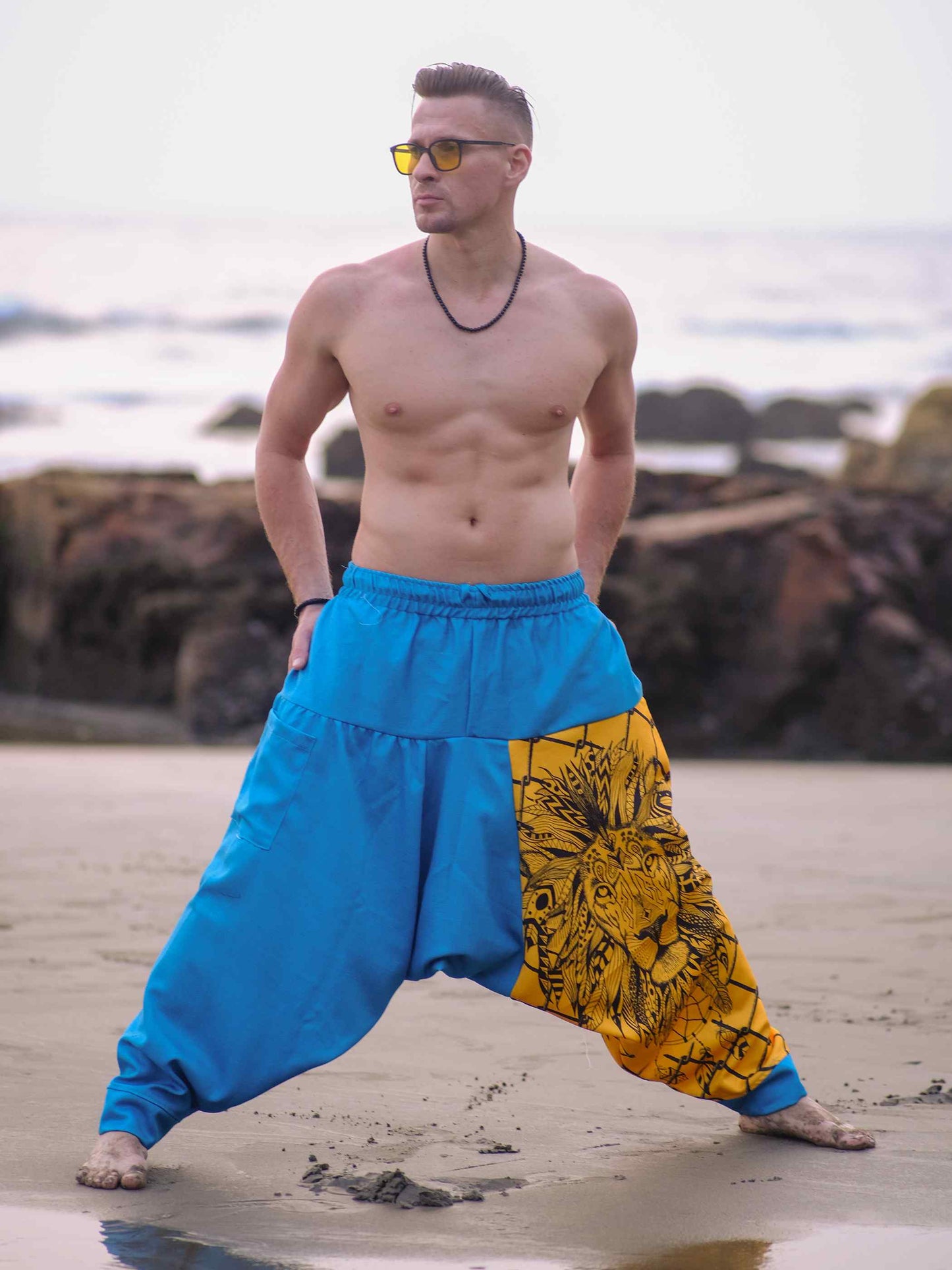 Shop Men's Lion Print Hippy Baggy Aladdin Bohemian  Harem Pants For Travel Dance Yoga
