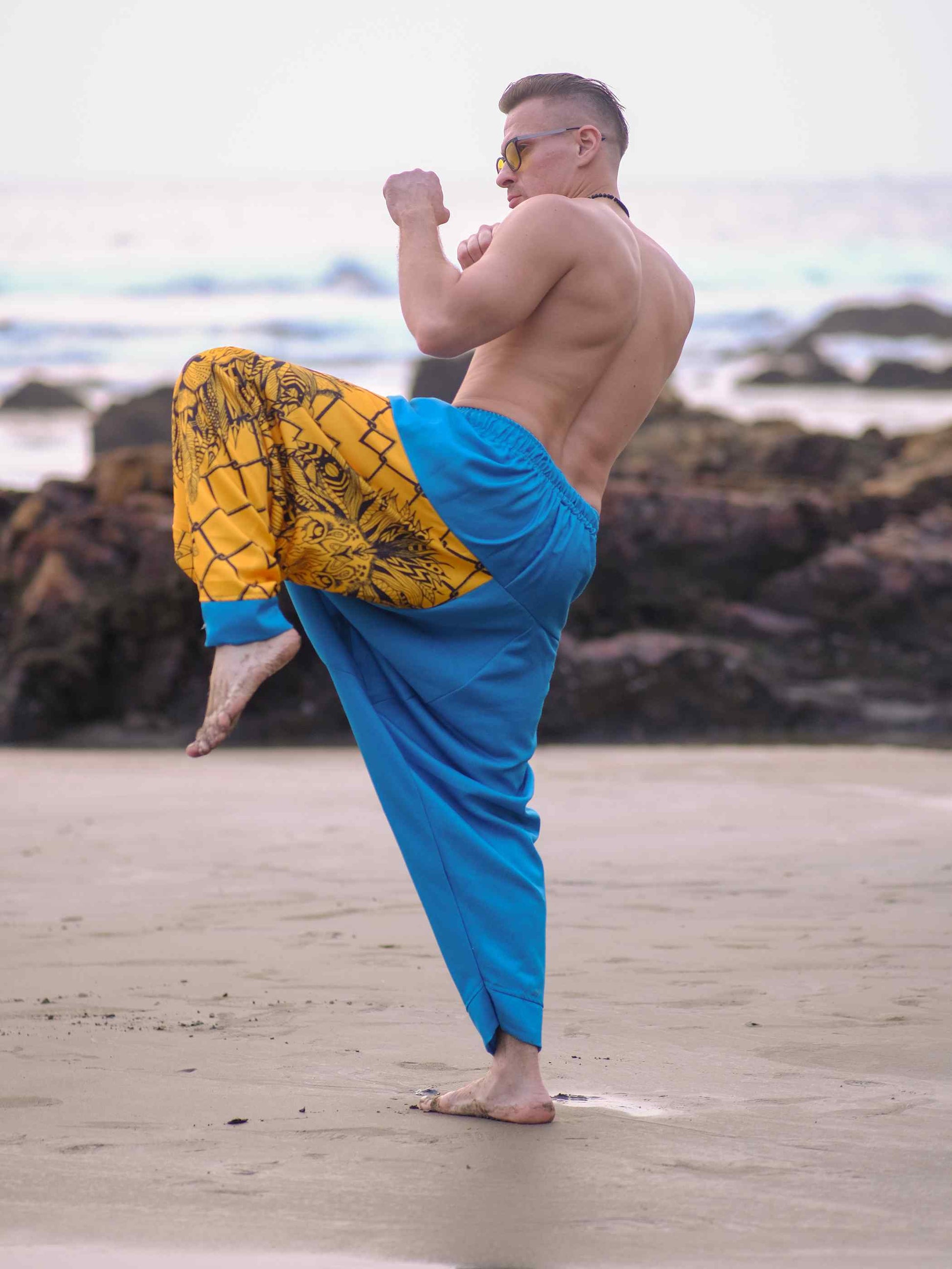 Shop Men's Lion Print Hippy Baggy Aladdin Bohemian  Harem Pants For Travel Dance Yoga