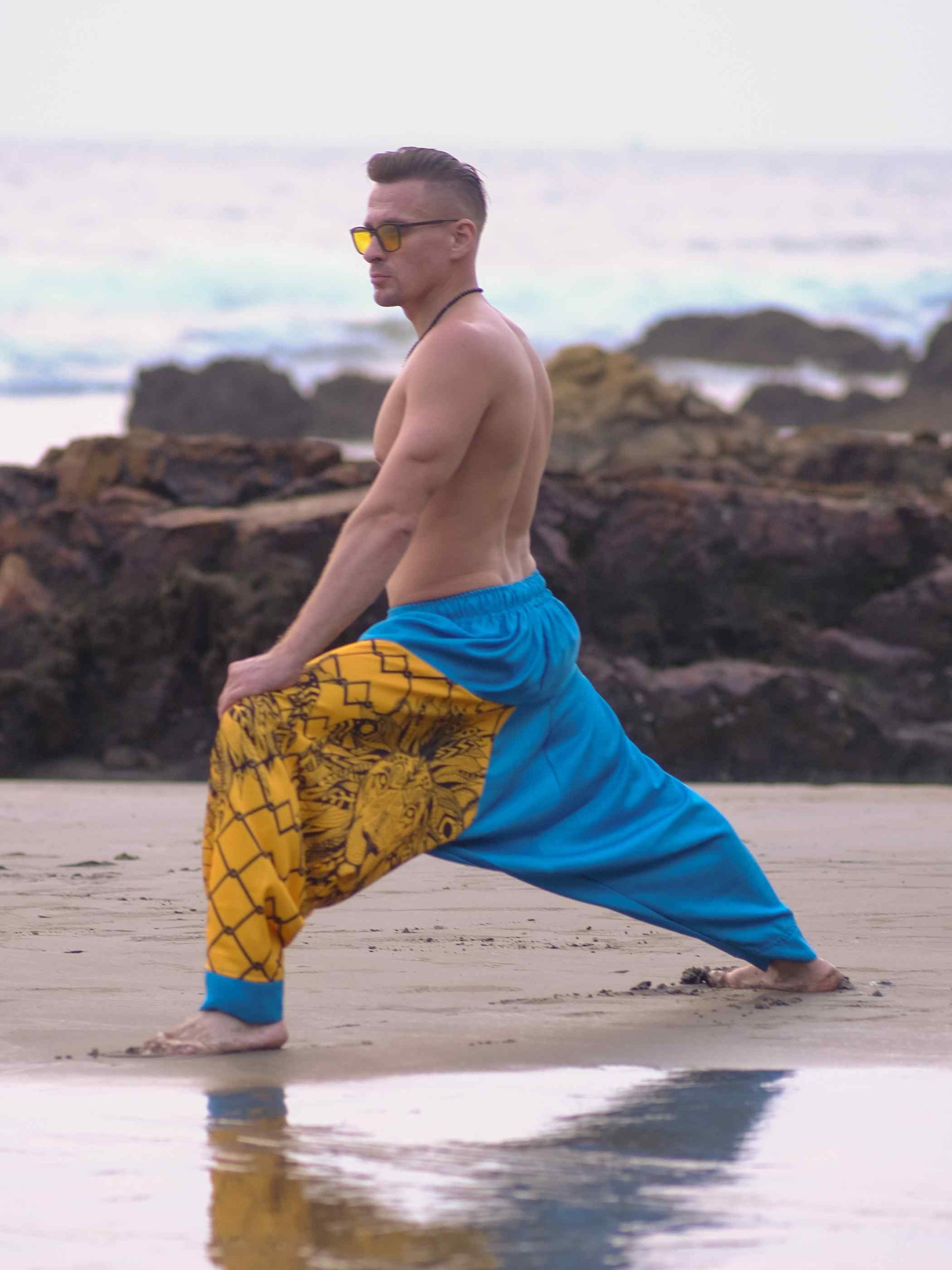 Shop Men's Lion Print Hippy Baggy Aladdin Bohemian  Harem Pants For Travel Dance Yoga