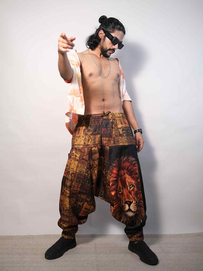 Men's Lion Print Balloon Aladdin Hippy Harem Pants For Travel Dance Yoga