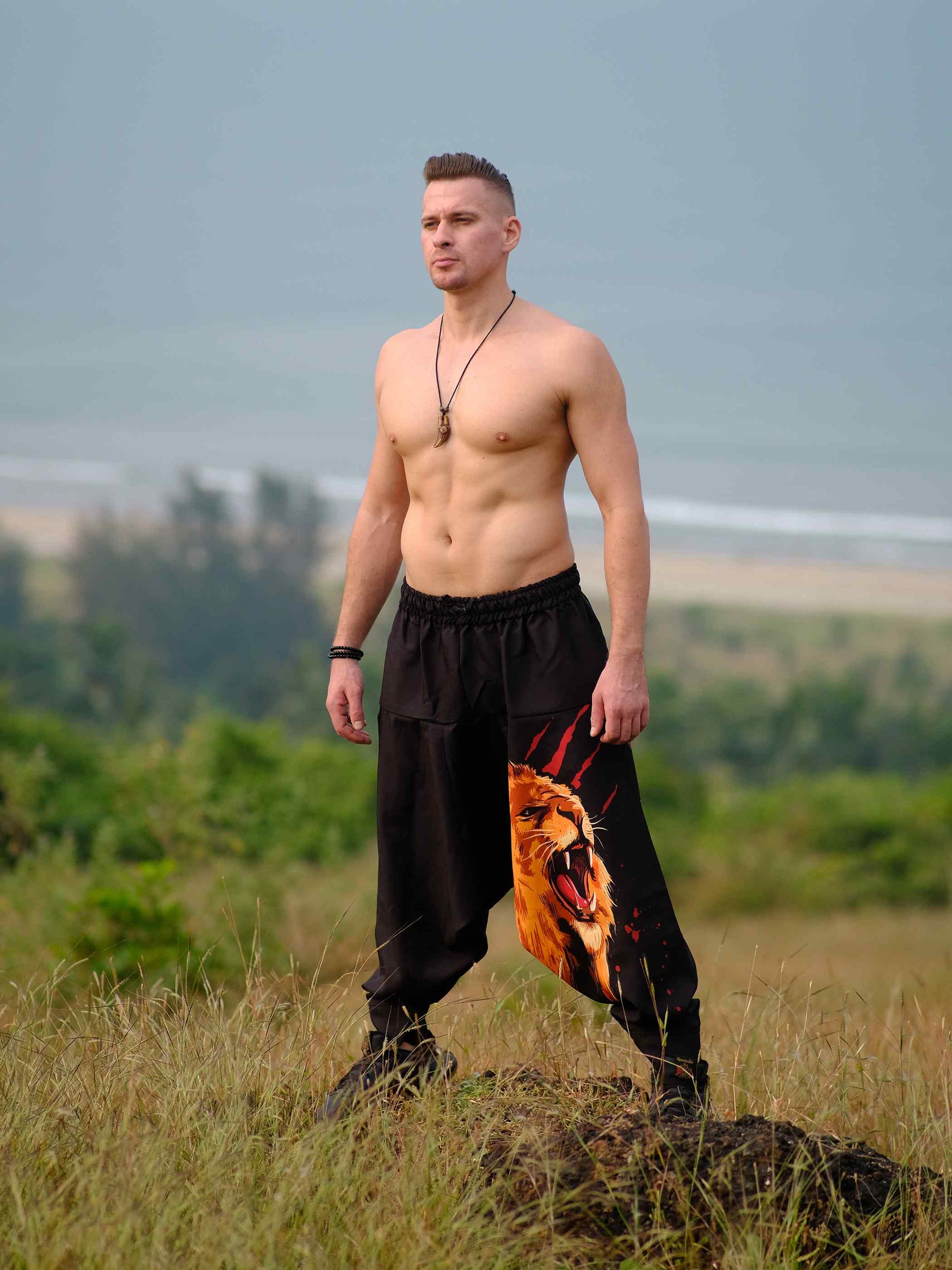 Buy Men's Lion Print Groove Dance Harem Pants For Travel Dance Yoga