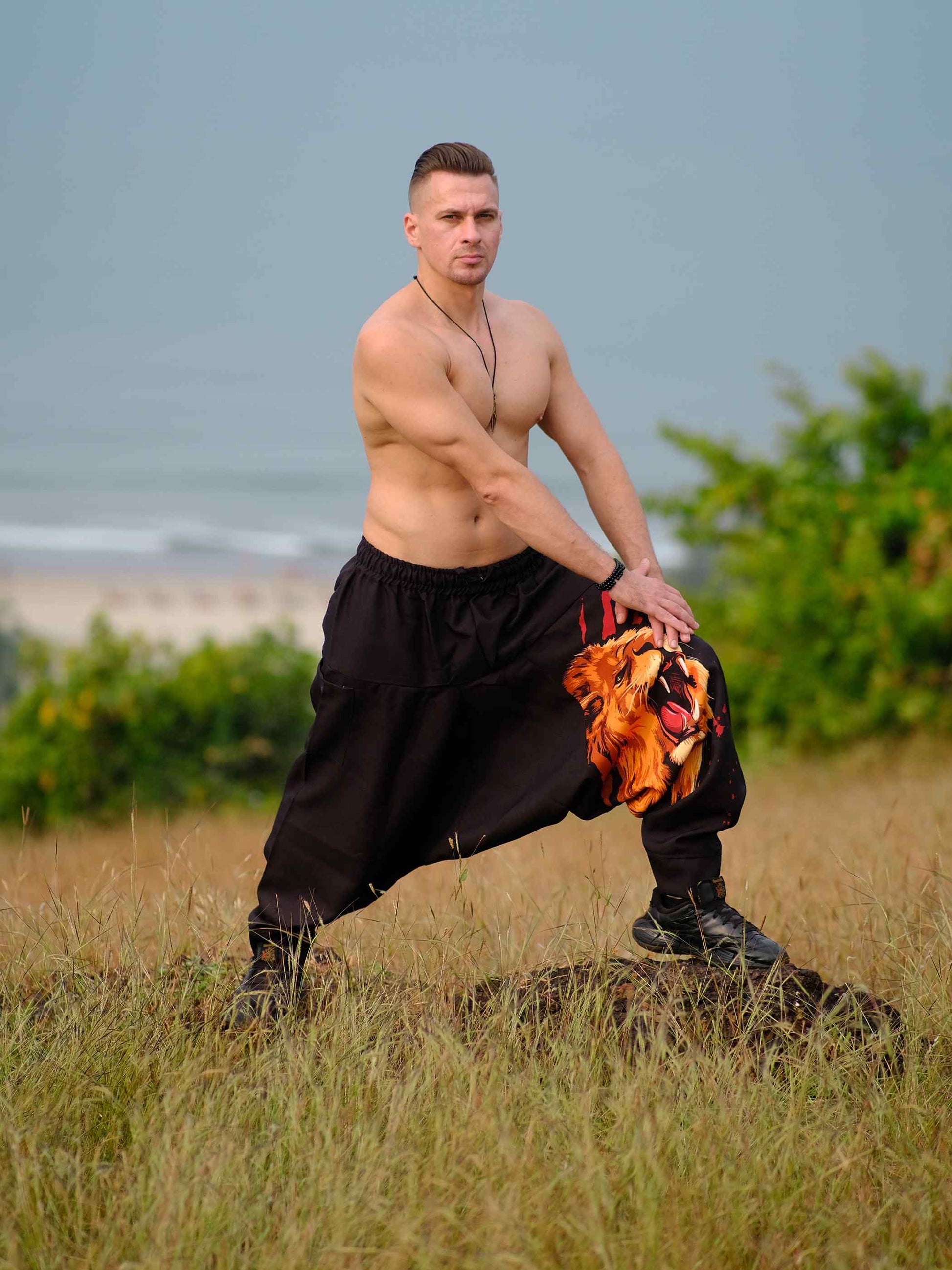 Buy Men's Lion Print Groove Dance Harem Pants For Travel Dance Yoga
