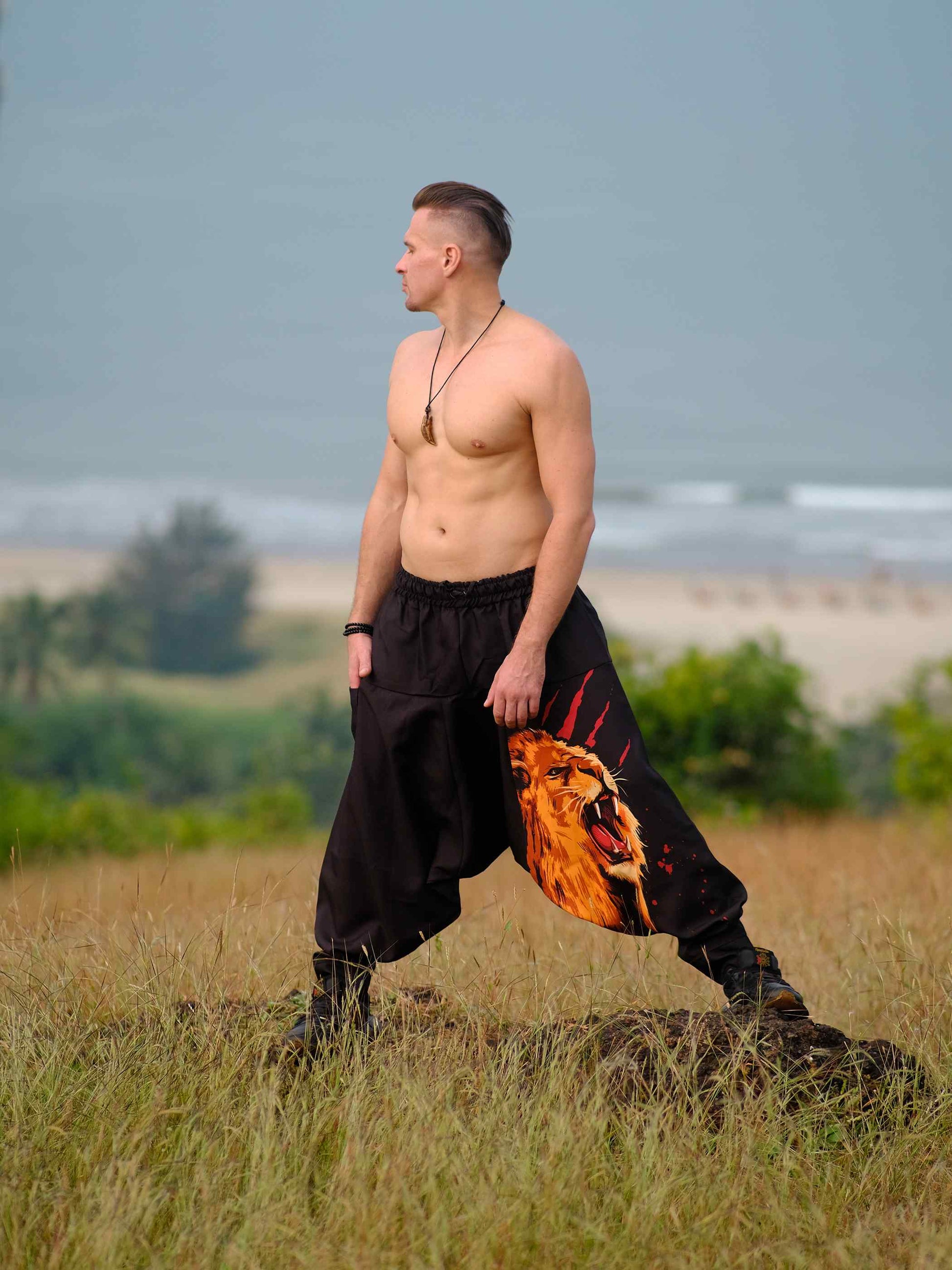 Buy Men's Lion Print Groove Dance Harem Pants For Travel Dance Yoga