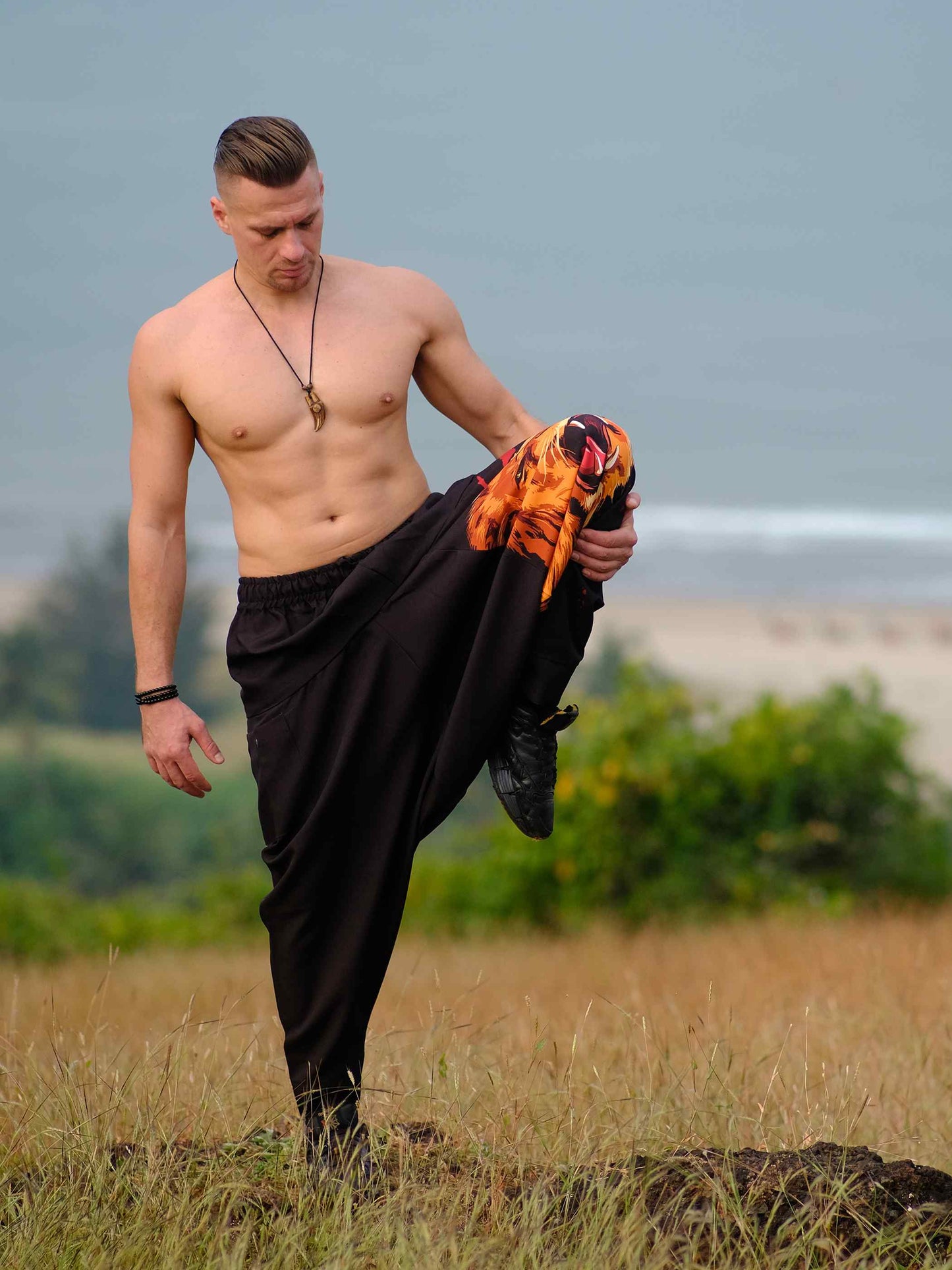 Buy Men's Lion Print Groove Dance Harem Pants For Travel Dance Yoga