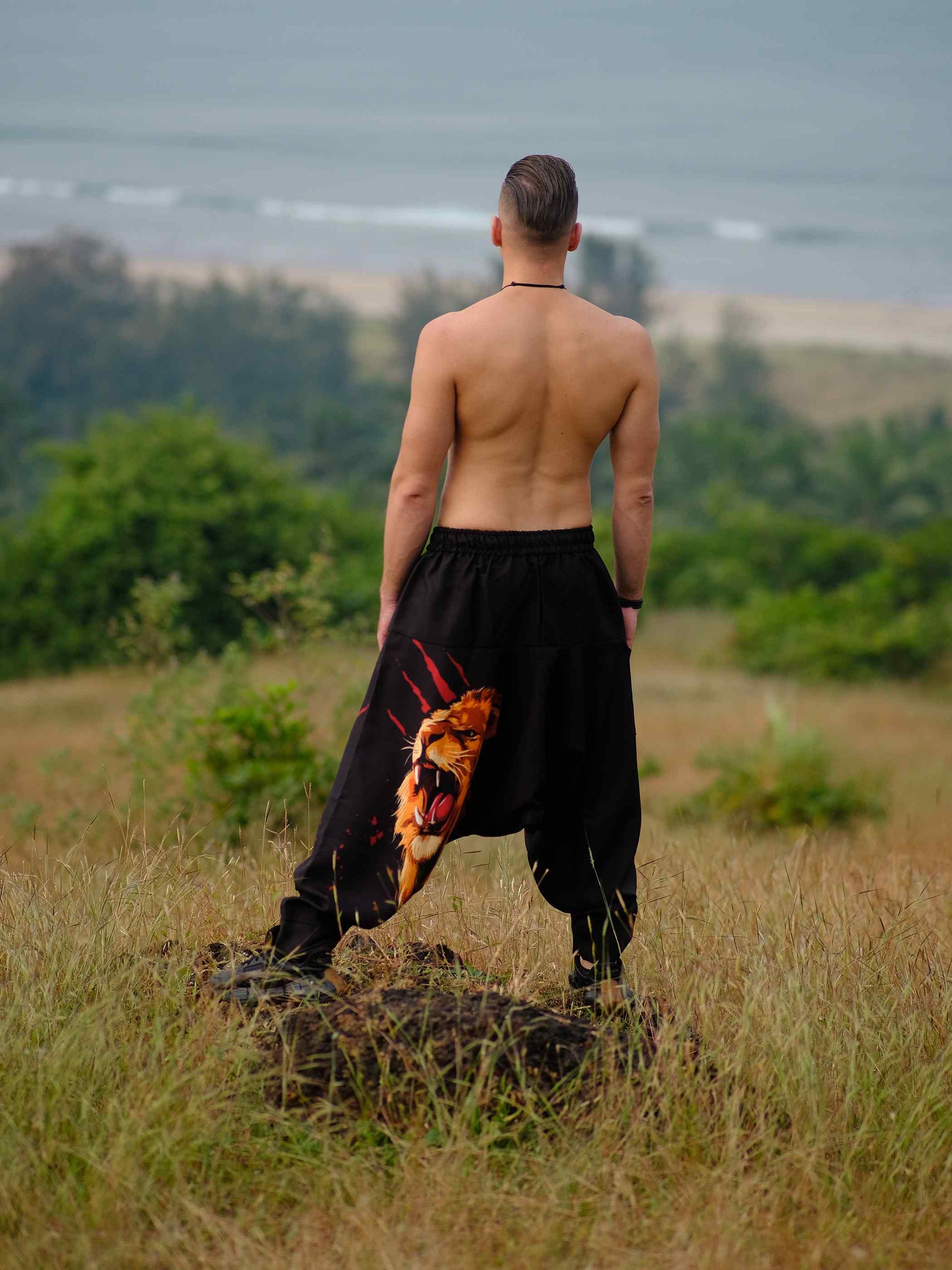 Buy Men's Lion Print Groove Dance Harem Pants For Travel Dance Yoga