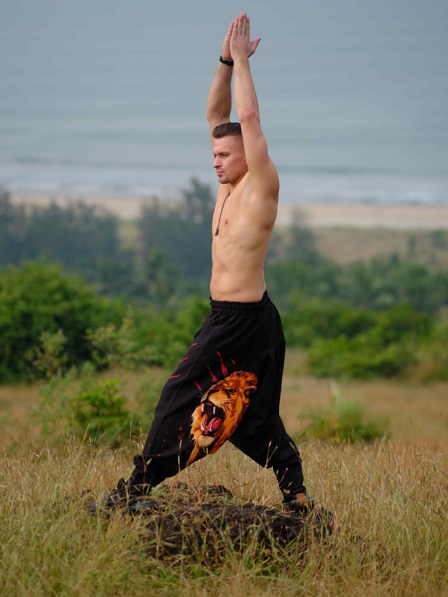 Buy Men's Lion Print Groove Dance Harem Pants For Travel Dance Yoga