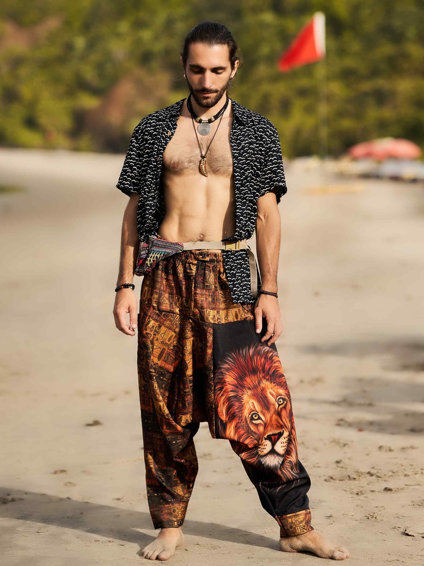 Buy Men's Vintage Lion Print Balloon Aladdin Unisex Harem Pants For Travel